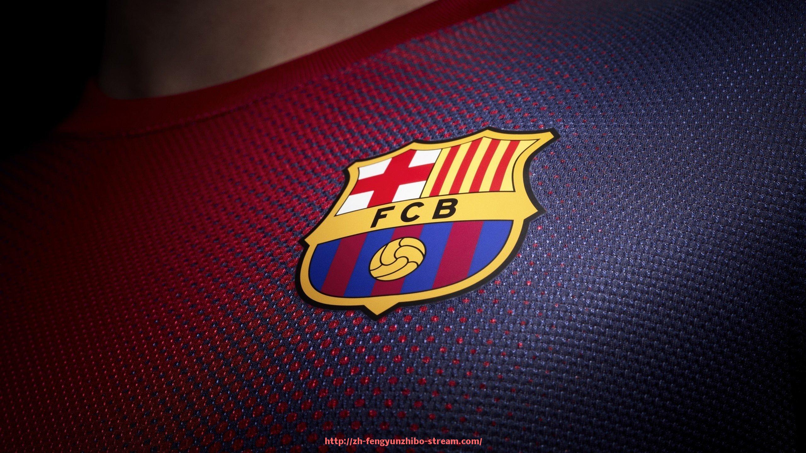 风云直播-世俱杯观众满意度调查结果揭示赛事组织与现场体验改进空间